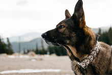 Load image into Gallery viewer, Neutral Christmas Aztec Dog Collar