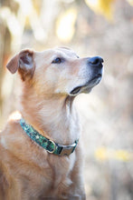 Load image into Gallery viewer, Green Poinsettia Dog Collar
