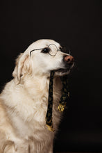 Load image into Gallery viewer, Add a Matching Leash