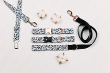 Load image into Gallery viewer, Pastel Steel Blue Leopard Print Water Resistant Dog Collar