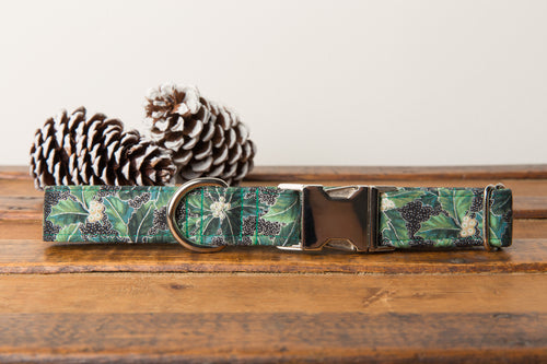 Green Poinsettia Dog Collar