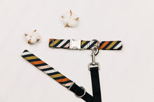 Load image into Gallery viewer, Seasonal Stripes Matching Dog Leash