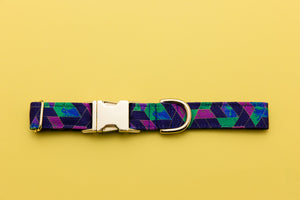 Bright Colored Geometric Water Resistant Dog Collar with Frogs Faces Musical Notes