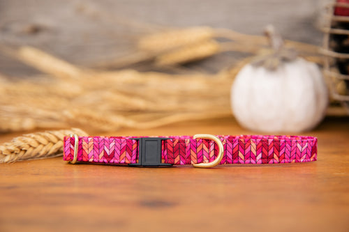Hot Pink Cat Collar