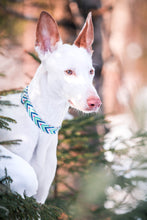 Load image into Gallery viewer, Green Chevron Dog Collar