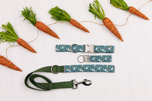 Easter Bunnies & Carrots Matching Dog Leash