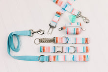 Load image into Gallery viewer, Copper Coastal Stripes Matching Dog Leash