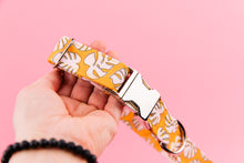 Load image into Gallery viewer, Orange Monstera Leaves Water Resistant Dog Collar