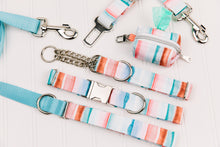 Load image into Gallery viewer, Copper Coastal Striped Water Resistant Dog Collar
