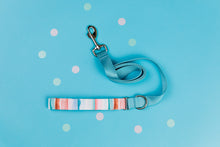 Load image into Gallery viewer, Copper Coastal Stripes Matching Dog Leash