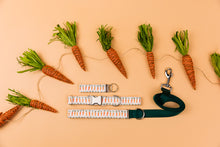 Load image into Gallery viewer, Tiny Easter Carrots Dog Collar