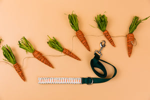 Tiny Easter Carrots Matching Dog Leash