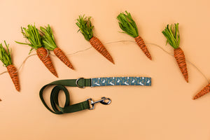 Easter Bunnies & Carrots Matching Dog Leash