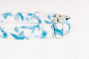 Watercolour Whales Water Resistant Dog Collar