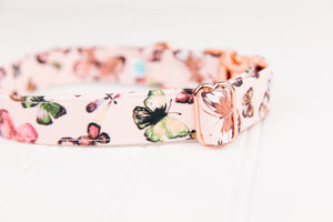 Pink Butterflies Dog Collar
