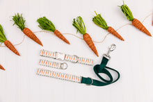 Load image into Gallery viewer, Tiny Easter Carrots Matching Dog Leash