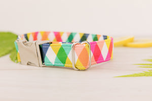 Rainbow Plaid Dog Collar