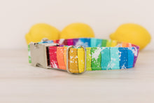 Load image into Gallery viewer, Pride Dog Collar