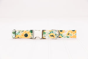 Sunflowers Water Resistant Dog Collar