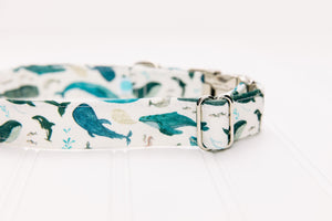 Watercolour Whales Water Resistant Dog Collar