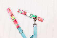 Load image into Gallery viewer, Watermelon Matching Dog Leash
