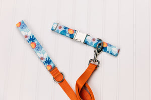 Tropical Fruits Water Resistant Dog Collar