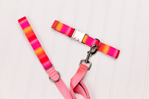 Pink and Orange Sunset Ombre Dog Collar