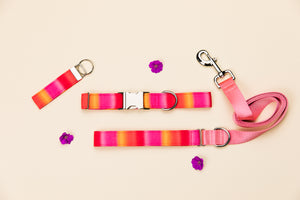 Pink and Orange Sunset Ombre Dog Collar