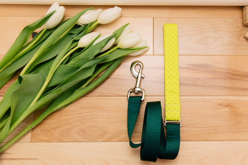 Neon Yellow-Green Geometric Matching Dog Leash