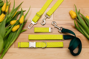 Neon Yellow-Green Geometric Matching Dog Leash
