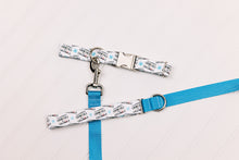 Load image into Gallery viewer, Griswold Themed Matching Dog Leash