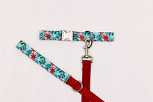 Load image into Gallery viewer, Dear Santa, I can Explain Water Resistant Dog Collar