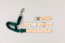 Load image into Gallery viewer, Watercolour Pumpkin Halloween Matching Dog Leash