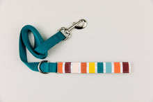 Load image into Gallery viewer, Autumn Stripes Matching Dog Leash