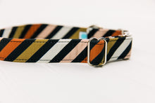 Load image into Gallery viewer, Seasonal Stripes Dog Collar