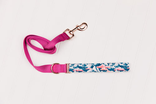 Candy Coloured Clouds Matching Dog Leash