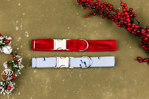 Red Velvet Festive Christmas Dog Collar