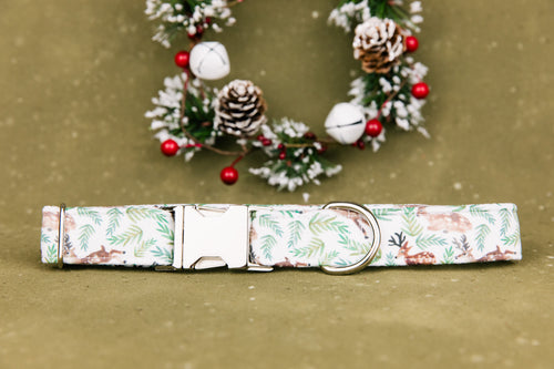 Deer in the Pine Dog Collar