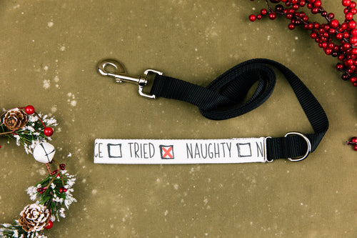 Naughty or Nice Matching Dog Leash
