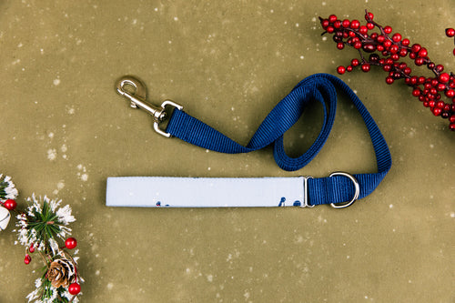 Marching Penguins Matching Dog Leash