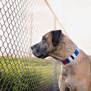 Nautical Striped Dog Collar