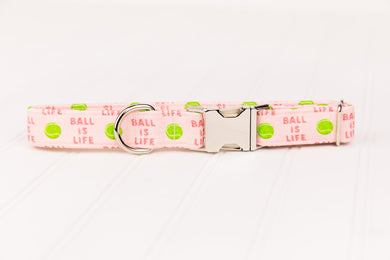 Tennis Ball Dog Collar