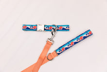 Load image into Gallery viewer, Surfing at Sunset Water Resistant Dog Collar