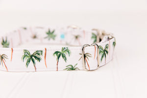 Neutral Palms Water Resistant Dog Collar