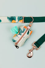 Load image into Gallery viewer, Minty Clementine Matching Dog Leash