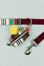 Load image into Gallery viewer, Desert Stripes Matching Dog Leash