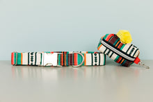 Load image into Gallery viewer, Desert Stripes Water Resistant Dog Collar