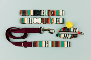 Desert Stripes Matching Dog Leash