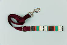 Load image into Gallery viewer, Desert Stripes Matching Dog Leash