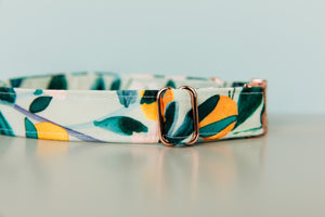 Minty Clementine Water Resistant Dog Collar